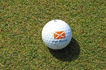 Golf - The Dutch